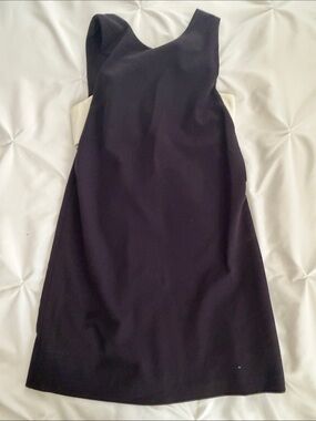 Zara Black Mini Dress with White Side Panels
